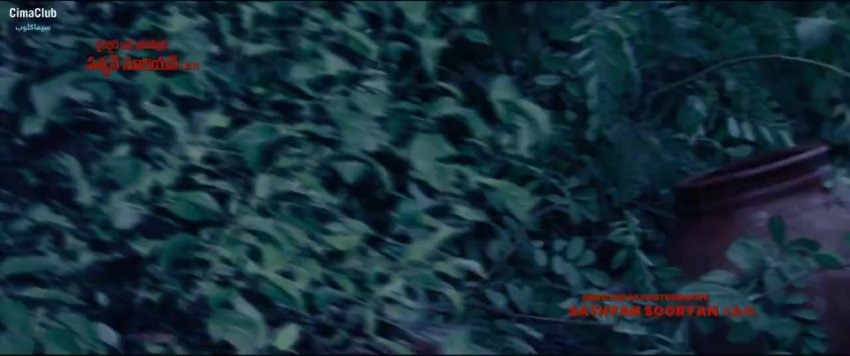 /2026-01-02 15-53/Dasara 2023.mp4