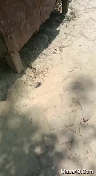 /2026-03-03 01-42/2023-05-22-19-58-45(3).mp4
